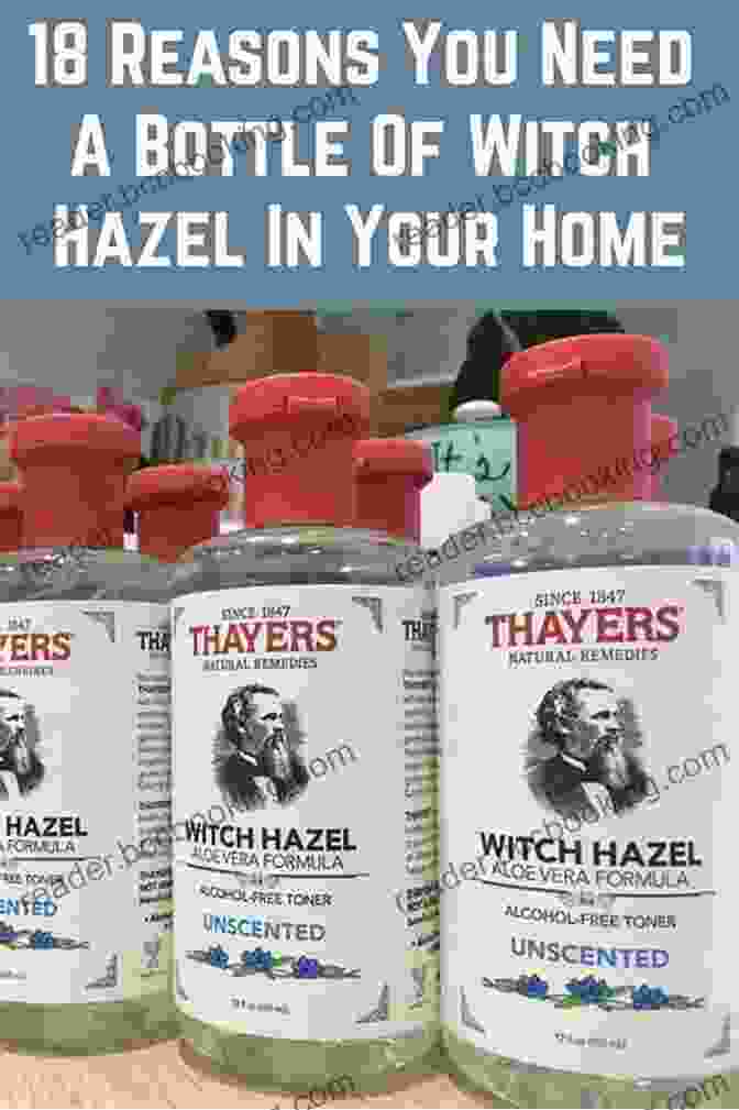A Bottle Of Witch Hazel Extract, Highlighting Its Versatility As A Natural Remedy Witch Hazel: The Ultimate Guide To Understanding And Using Witch Hazel