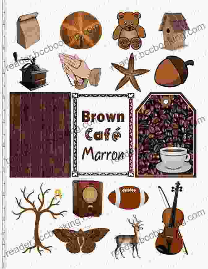 A Collage Of Images Displaying Brown Objects, Including A Tree Trunk, Chocolate, And A Brown Bear. Toddler Lesson Plans: Learning Colors: Ten Week Guide To Help Your Toddler Learn Colors