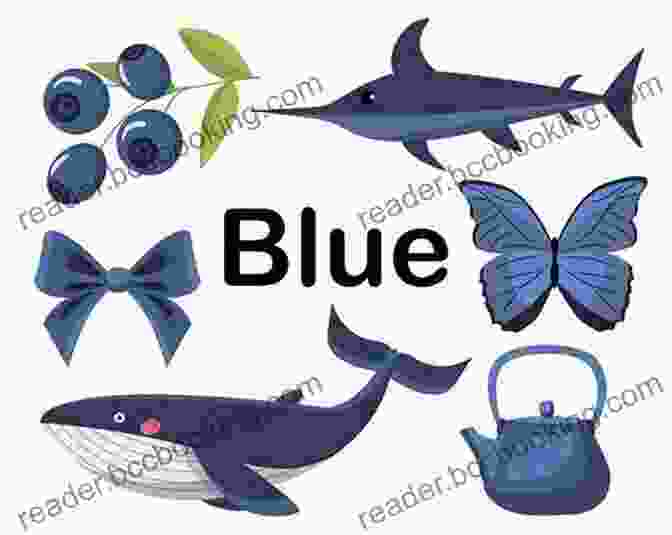 A Collage Of Images Featuring Blue Objects, Including A Blue Whale, The Ocean, And Blueberries. Toddler Lesson Plans: Learning Colors: Ten Week Guide To Help Your Toddler Learn Colors