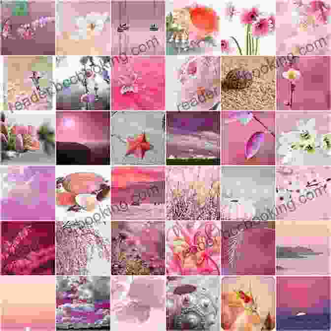 A Collage Of Images Featuring Pink Objects, Including A Pink Flamingo, A Pink Flower, And A Pink Ice Cream. Toddler Lesson Plans: Learning Colors: Ten Week Guide To Help Your Toddler Learn Colors
