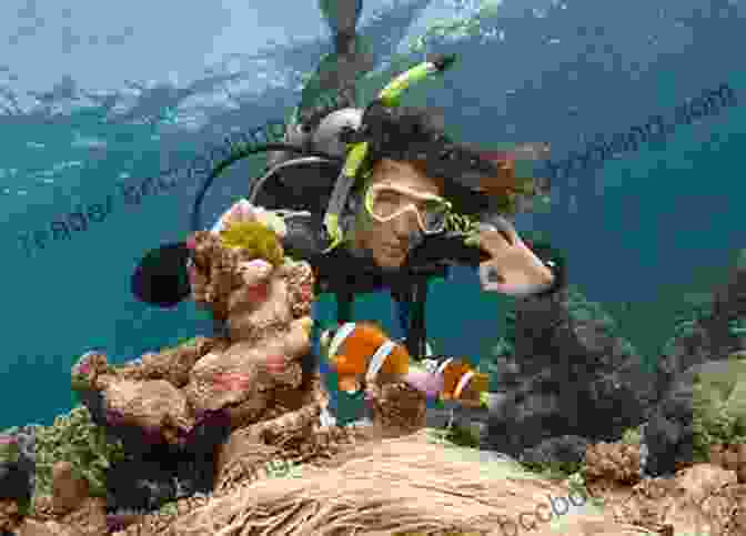 A Diver Exploring A Coral Reef Scuba Fundamental: Start Diving The Right Way (The Scuba 1)