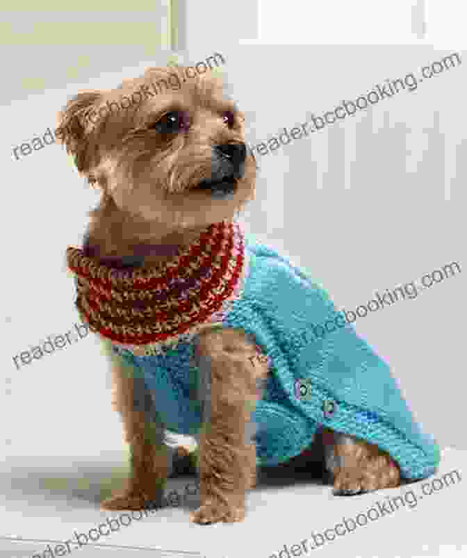 A Dog Wearing A Cozy Knitted Sweater With A Leaf Pattern Crochet Dog Sweater: How To Make Sweater For Your Dogs: Tutorials To Make Dog Sweater All Seasons