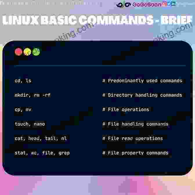 A Person Working On A Linux Command Line Terminal The Linux Command Line 2nd Edition: A Complete 