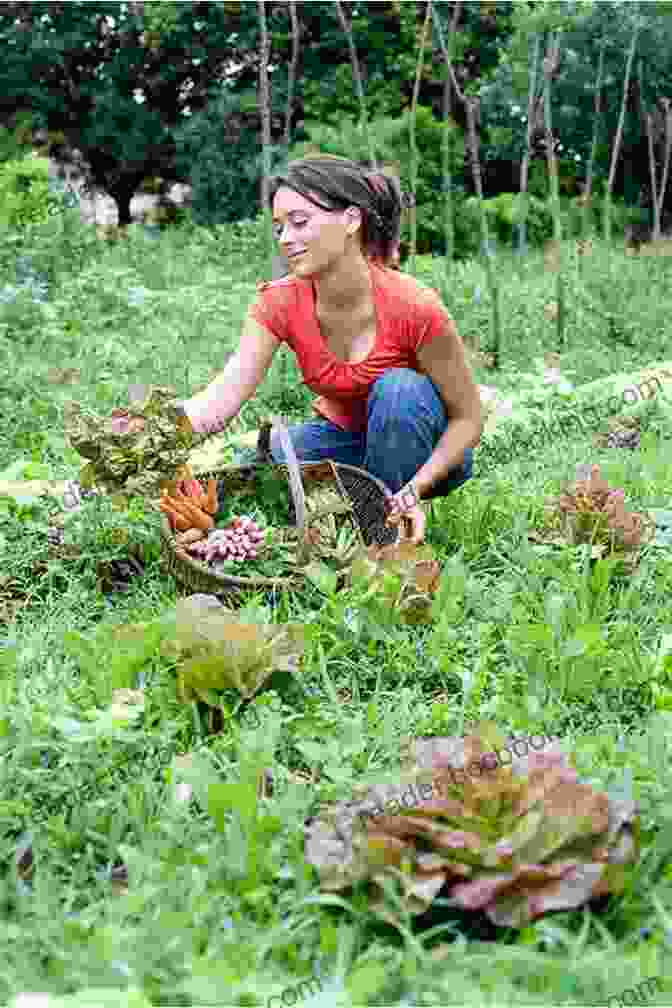 A Woman Gardening In A Field The Practical Permaculture Project: Connect To Nature And Discover The Best Organic Soil And Water Management Techniques To Design And Build Your Thriving Sustainable Self Sufficient Garden