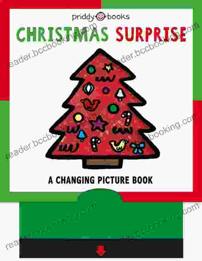 Boog And Nan: Christmas Surprise Book Cover Boog And Nan A Christmas Surprise (See It Read It )