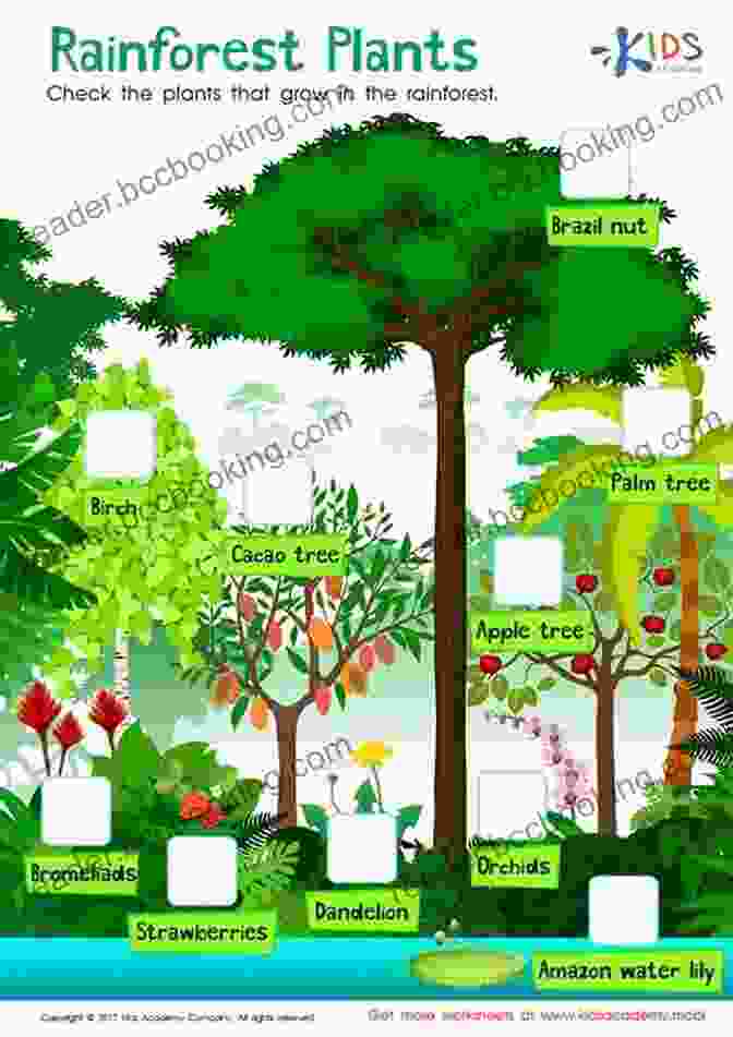 Children Learning About Plants In A Forest Parenting According To Nature: A How To Guide For Successful Child Rearing
