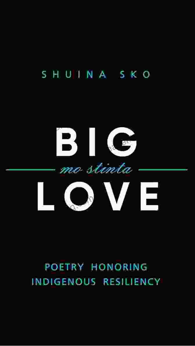 Cover Of BIG LOVE Mo Stinta: Poetry Honoring Indigenous Resiliency