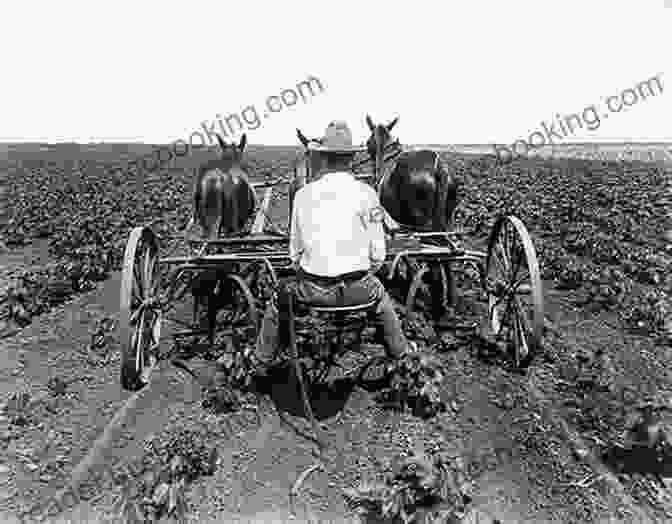 Historical Photograph Of Farming Practices In Herefordshire Wye Me Tales Of A Herefordshire Girl: Growing Up In Rural Herefordshire