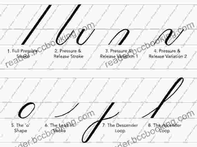 Learn The Fundamentals Of Calligraphy, Including Pen And Ink Selection, Paper Choices, And Basic Strokes. Learn Calligraphy: The Complete Of Lettering And Design