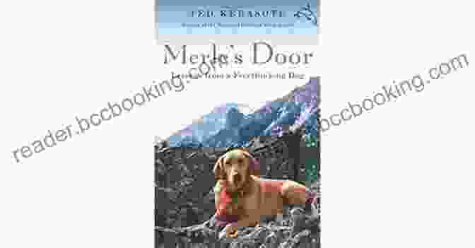 Merle Door, A Freethinking Dog Merle S Door: Lessons From A Freethinking Dog