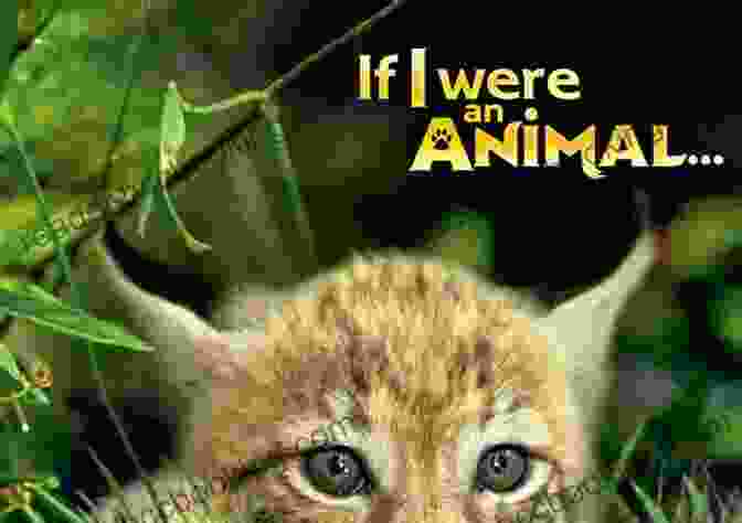 Pinterest If I Were An Animal