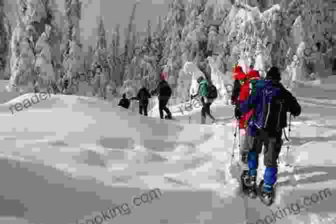 Snowshoeing Through A Winter Forest Up The Winter Trail (Coastal British Columbia Stories 4)