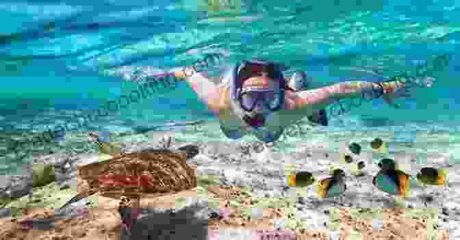 Tourists Snorkeling In The Crystal Clear Waters Of Cancun, Surrounded By Colorful Coral And Tropical Fish. Cancun Travel Guide Mark Twain