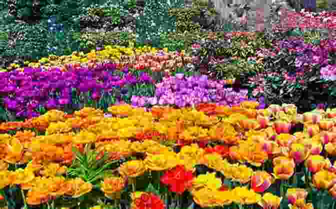 Vibrant Spring Blooms In A Garden The Flower Gardener S Bible: A Complete Guide To Colorful Blooms All Season Long: 400 Favorite Flowers Time Tested Techniques Creative Garden Designs And A Lifetime Of Gardening Wisdom