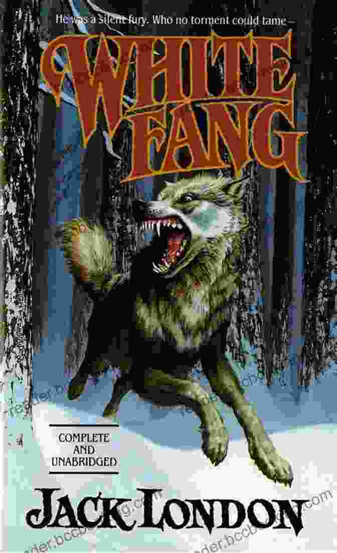 White Fang Standing In The Wilderness, Eyes Gleaming Fiercely White Fang And The Call Of The Wild