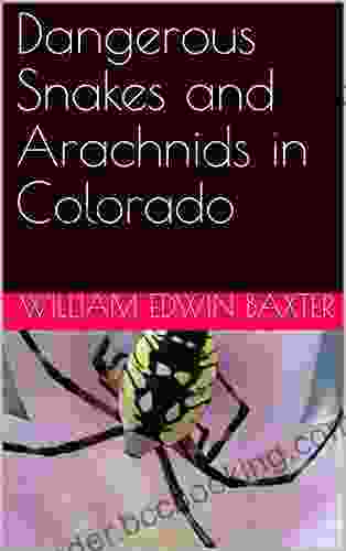 Dangerous Snakes And Arachnids In Colorado (Higher Learning Tutorials For Children 2)