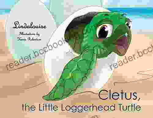 Cletus The Little Loggerhead Turtle : The Beginning Adventure