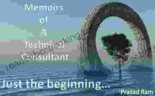 Just The Beginning (Memoirs Of A Technical Consultant 1)