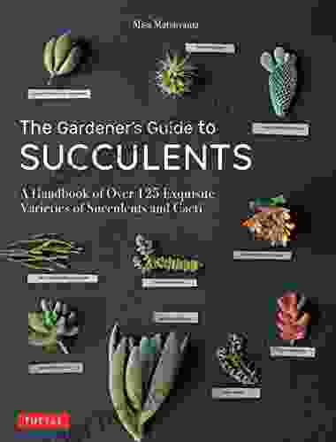 The Gardener S Guide To Succulents: A Handbook Of Over 125 Exquisite Varieties Of Succulents And Cacti