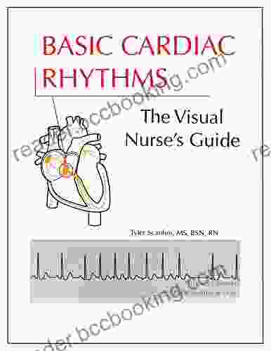 Basic Cardiac Rhythms: The Visual Nurse S Guide (The Visual Nurse S Basic ECG 1)