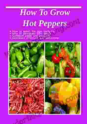 How To Grow Hot Peppers