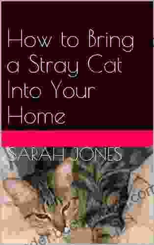 How To Bring A Stray Cat Into Your Home